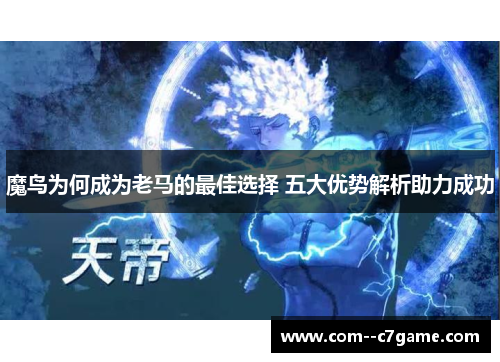 魔鸟为何成为老马的最佳选择 五大优势解析助力成功