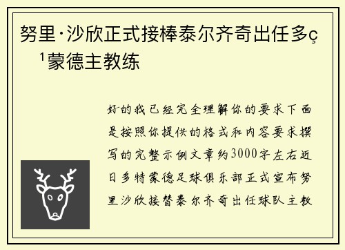 努里·沙欣正式接棒泰尔齐奇出任多特蒙德主教练